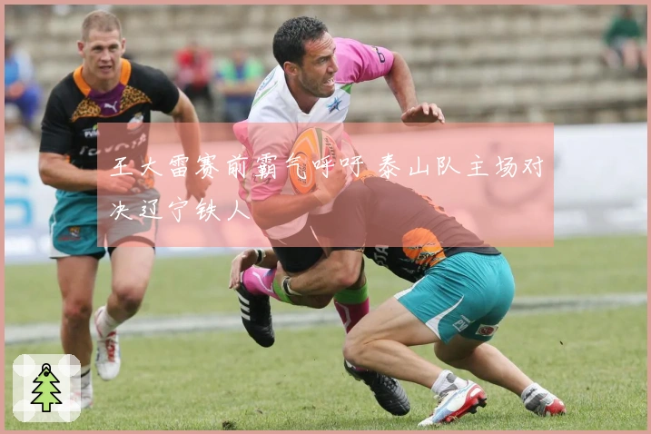 王大雷赛前霸气呼吁 泰山队主场对决辽宁铁人